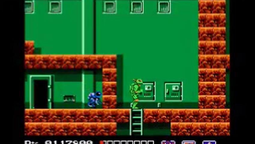 Teenage Mutant Ninja Turtles (Drunk)