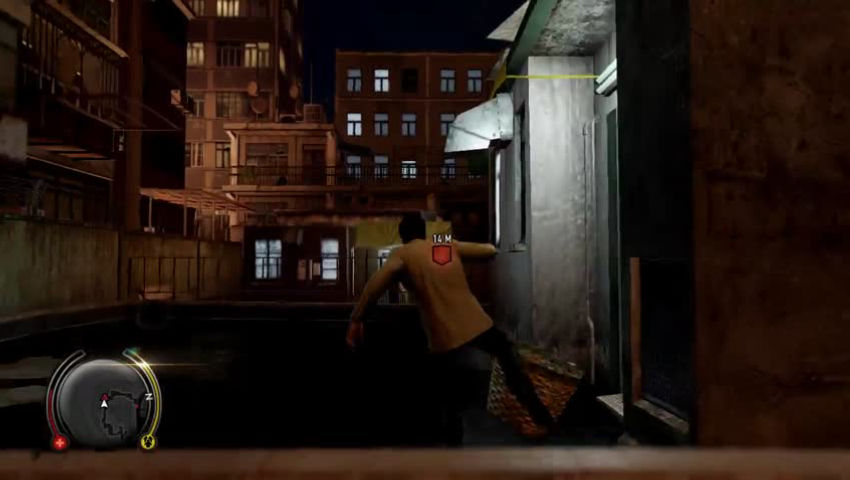 Sleeping Dogs #21