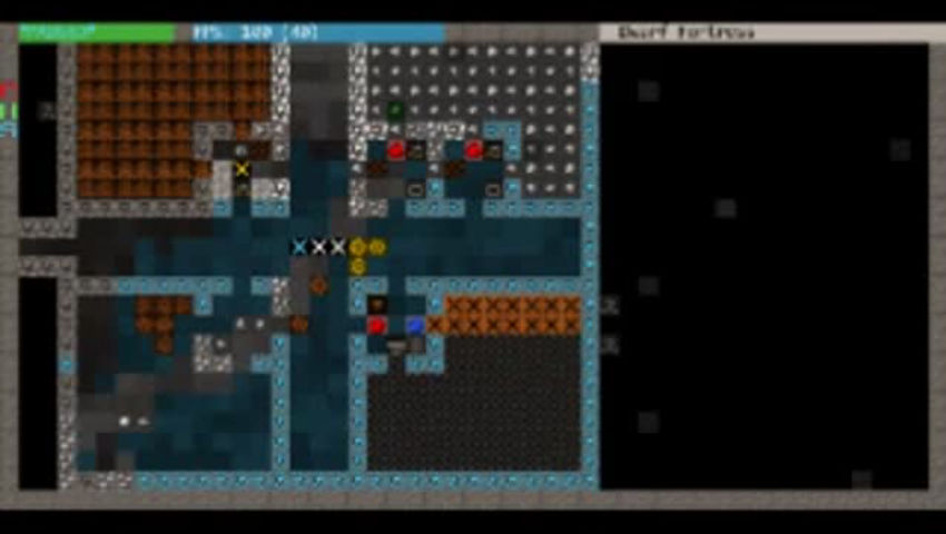 Dwarf Fortress (Drunk)