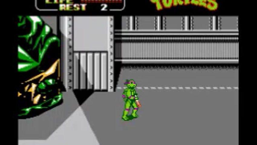 TMNT 2, TMNT (Drunk)