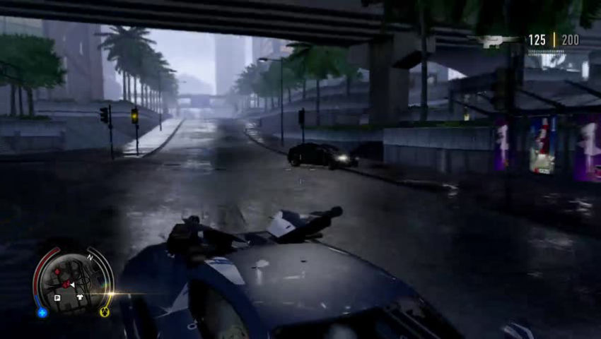 Sleeping Dogs #13