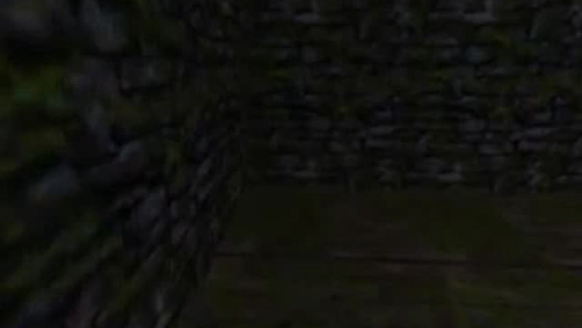 Thief #11