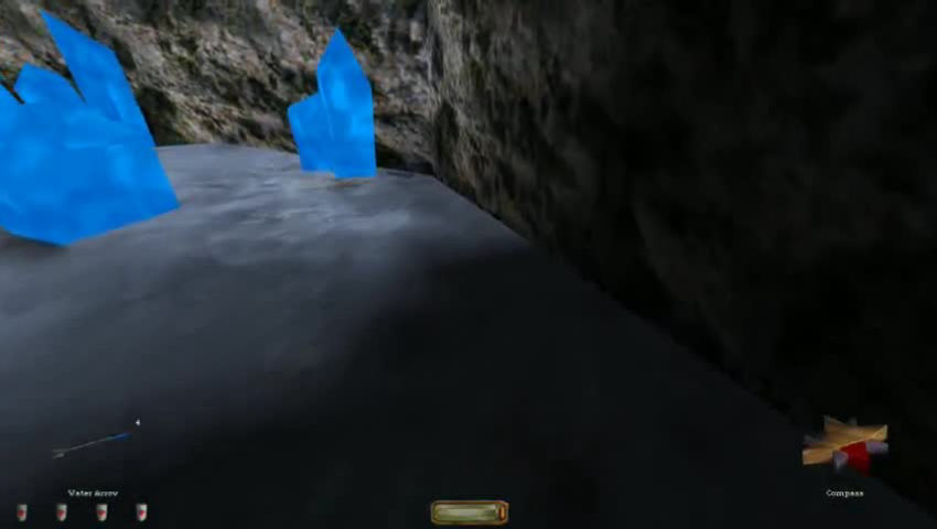 Thief #31